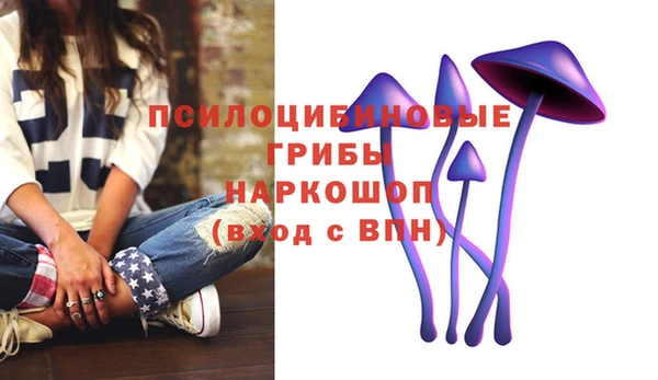 винт Дмитров