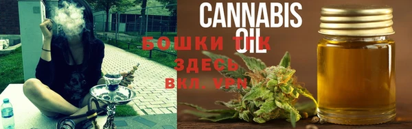 винт Дмитров