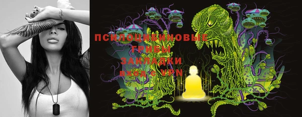 винт Дмитров